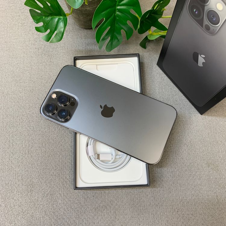 �Хåƥ꡼ 100�� iPhone 13ProMax 256GB ����SIM�ե꡼ ����̵��