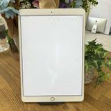 iPad Pro 10.5 256GB  WiFi ̵