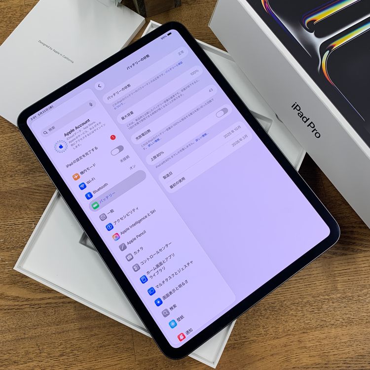 �Хåƥ꡼100% iPad Pro M5 11����� 256GB WiFi�� ����̵��