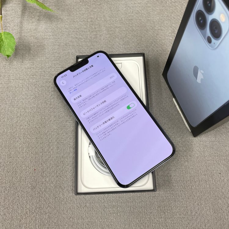 iPhone 13ProMax ������֥롼 128Gb ������SIM�ե꡼����̵��