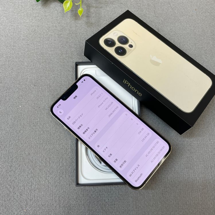�Хåƥ꡼ 100% iPhone 13Pro 256GB ������� ����SIM�ե꡼ ����̵��