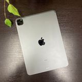 iPad Pro 113 512GB Wi-Fiǥ