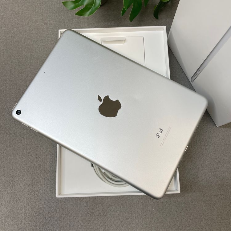 �Хåƥ꡼ 85% iPad mini 5 ����С� 64GB  Wi-Fi��ǥ�