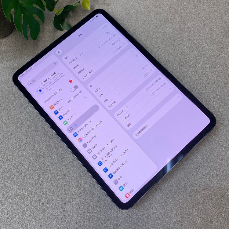 �Хåƥ꡼91�� iPad Pro M4 256 11����� �֥�å� WiFi��ǥ� ȯ��̵��