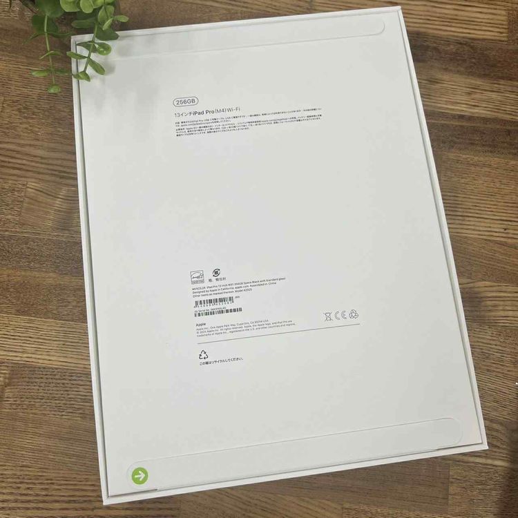 ʡ̤ iPad Pro M4å 13 ֥å WiFi ǥ̵