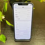 iPhone 12  256GB ѡץ SIMե꡼ ̵