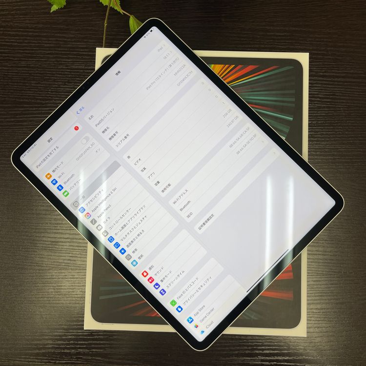 iPad Pro 12.95M1å Wi-Fiǥ
