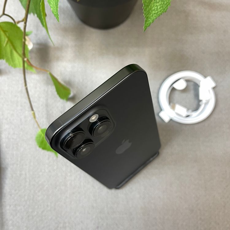 �Хåƥ꡼ 100% iPhone 16ProMax 256GB �֥�å� ������ SIM�ե꡼