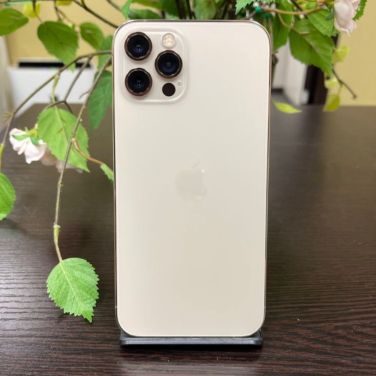 iPhone 12Pro 128GB  SIMե꡼ ̵