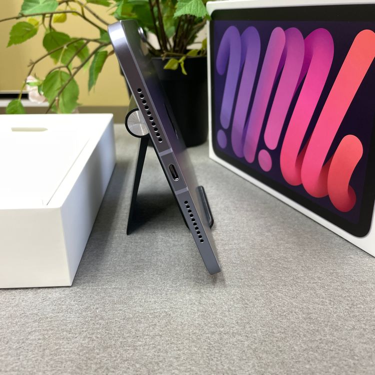 iPad mini 6 ѡץ 256Gb Wi-Fi + Cellularǥ