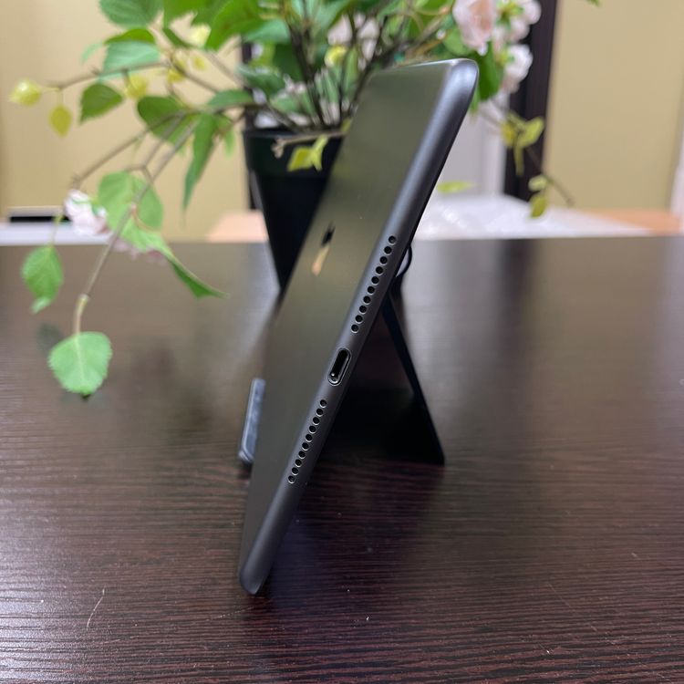 iPad mini 5 ڡ쥤 64Gb Wi-Fiǥ ̵