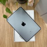 iPad mini 5 ڡ쥤 64Gb Wi-Fiǥ ̵