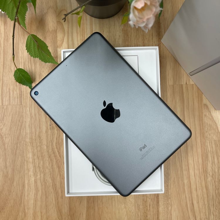 iPad mini 5 ڡ쥤 64Gb Wi-Fiǥ ̵