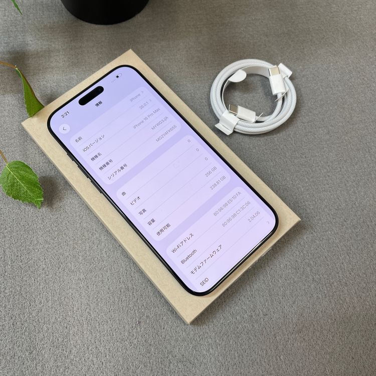 �Хåƥ꡼ 100% iPhone 16ProMax 256GB �֥�å� ������ SIM�ե꡼