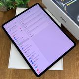 ����Ʊ�� iPad Pro M4 13����� 256GB WiFi + Cellular ����̵��