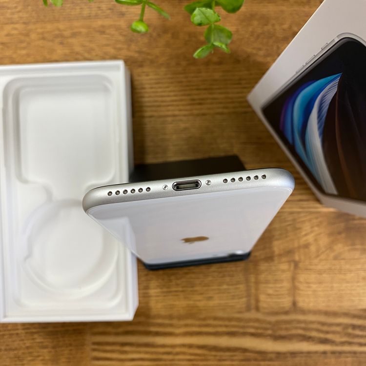 iPhone SE(��2 ����) 64GB �ۥ磻�� ����SIM�ե꡼ ����̵��