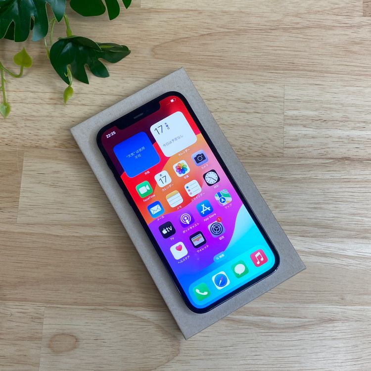 iPhone 12Pro 256GB �֥롼 ����SIM�ե꡼ ����̵��