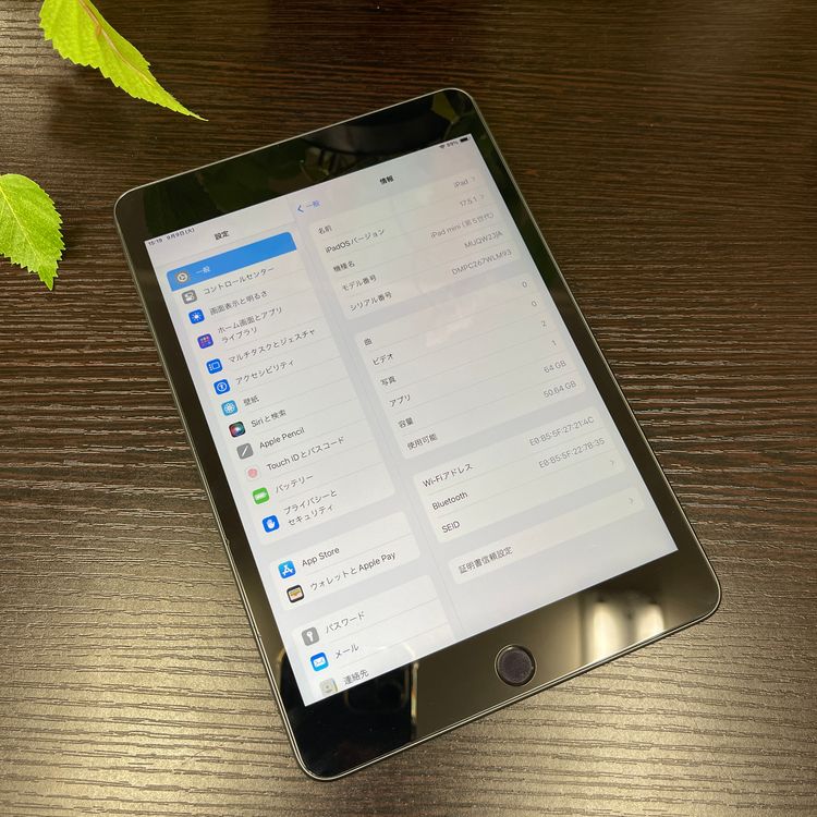 iPad mini 5 ڡ쥤 64Gb Wi-Fiǥ ̵