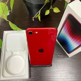 iPhone SE(裳) 64GB å  SIMե꡼ ̵