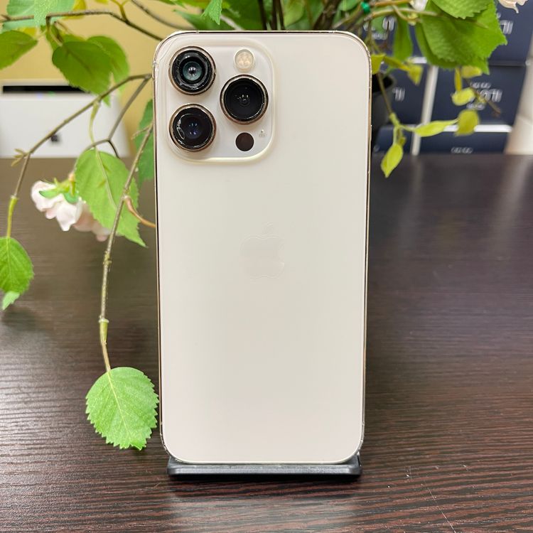iPhone13Pro  128Gb SIMե꡼̵