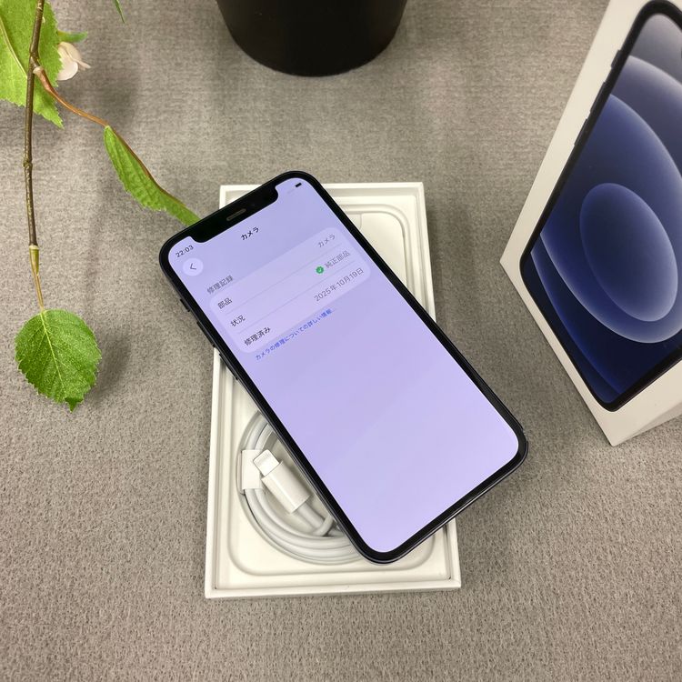 iPhone 12 mini 128GB  �֥�å� SIM�ե꡼ ����̵��