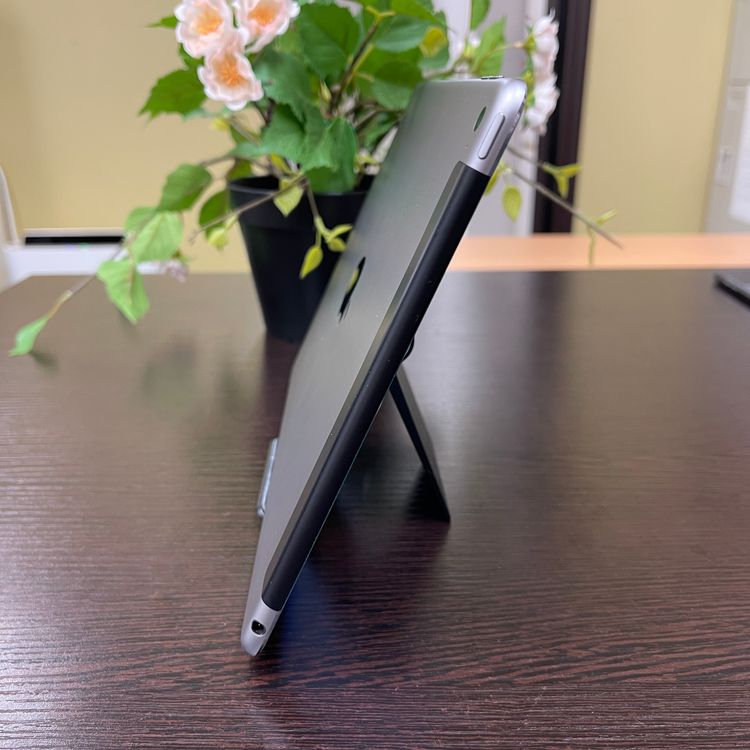 iPad Air 2 64GB С Wi-Fi + Cellularǥ SIMե꡼