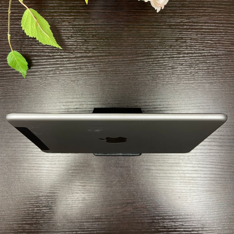 iPad mini 4 128GB Wi-Fi + Cellularǥ  ̵