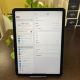 iPad Air(4) 64GB ڡ쥤 Wi-Fiǥ