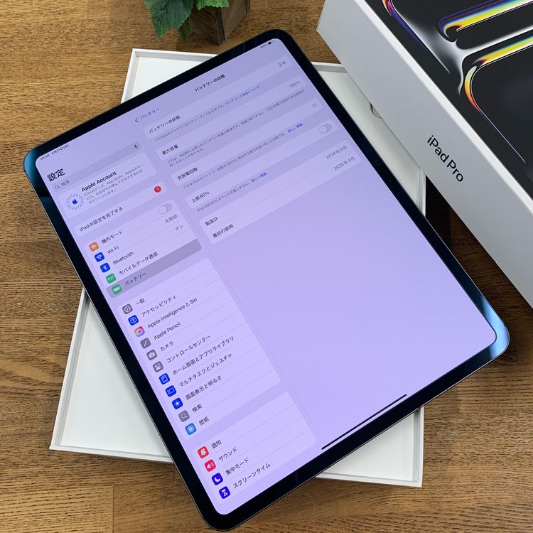 �Хåƥ꡼100% iPad Pro M4 13����� 2TB WiFi + Cellular
