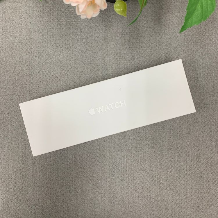 ʡ̤ Apple Watch Series 10 46mm ̵ 27040