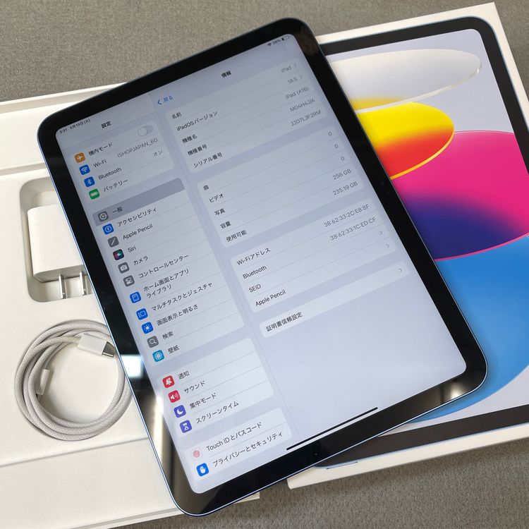 ����Ʊ�� iPad A16 256Gb �֥롼 WiFi�� ����̵��