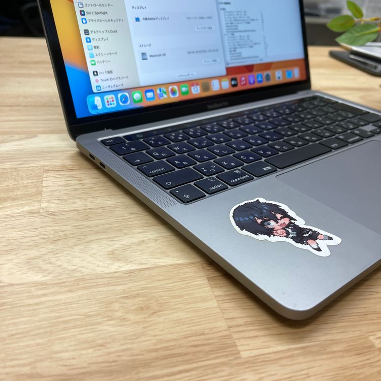 MacBook Pro13����� M2���å� ���ڡ������졼 2022ǯ ����̵�� RQ12M