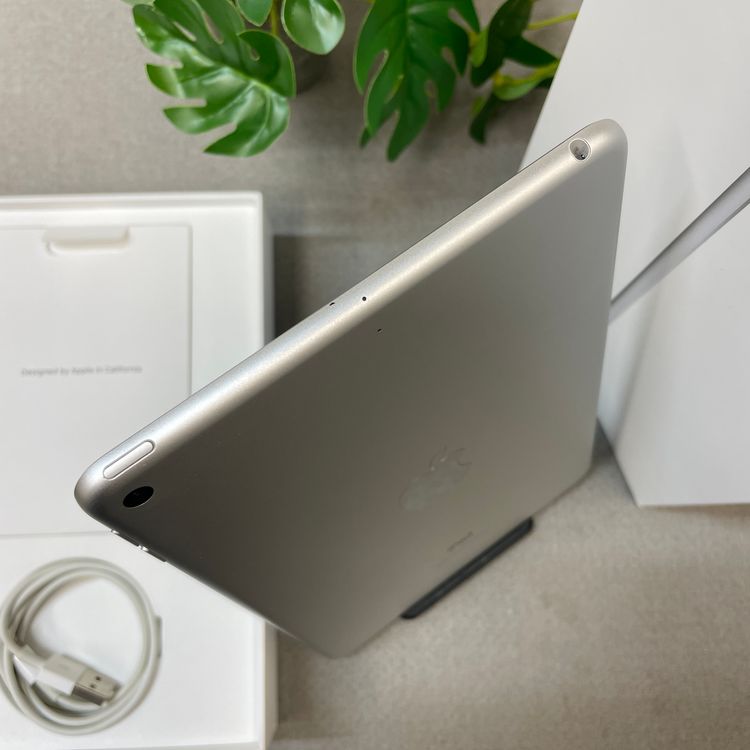 �Хåƥ꡼ 85% iPad mini 5 ����С� 64GB  Wi-Fi��ǥ�