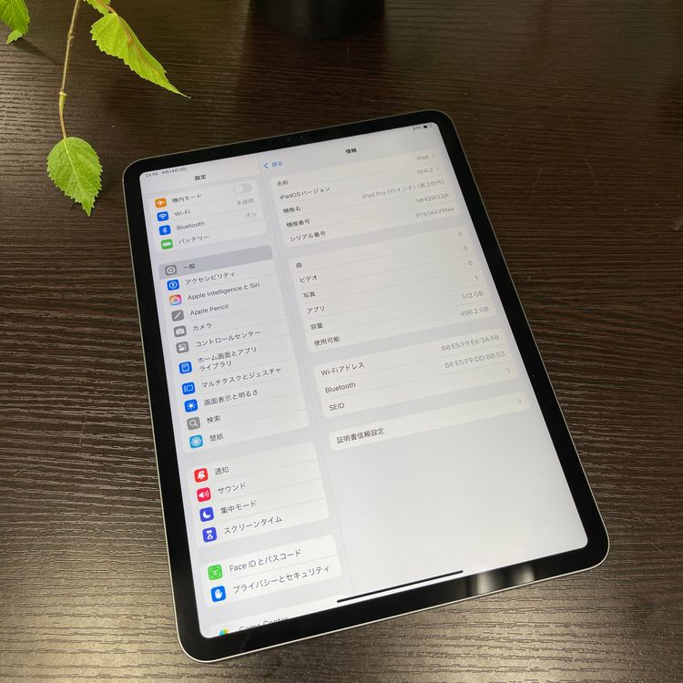 iPad Pro 113 512GB Wi-Fiǥ
