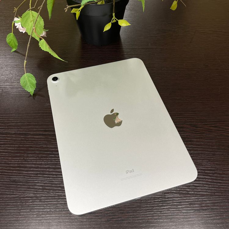 iPad(10) 256GB С  Wi-Fiǥ ̵