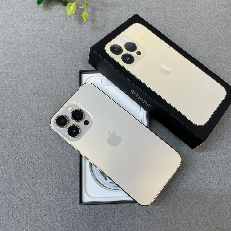 �Хåƥ꡼ 100% iPhone 13Pro 256GB ������� ����SIM�ե꡼ ����̵��