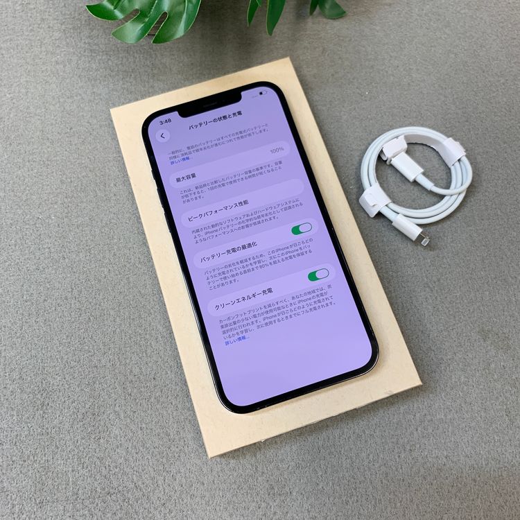 �Хåƥ꡼ 100�� iPhone12 ProMax 256Gb ����SIM�ե꡼ ����̵��