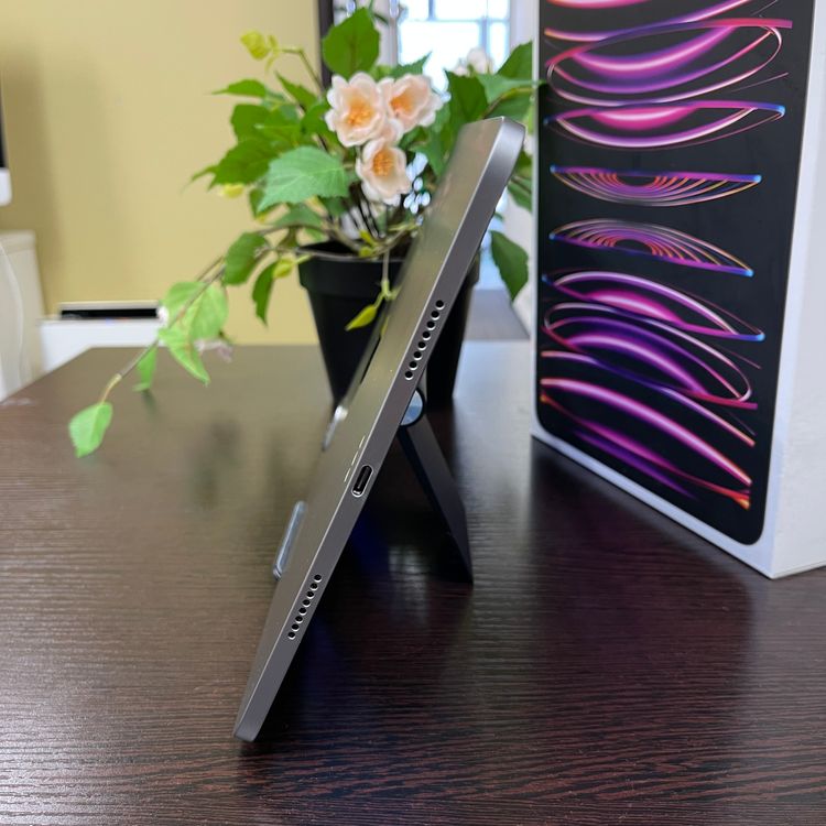 iPad Pro 114128GB ڡ쥤 ̵