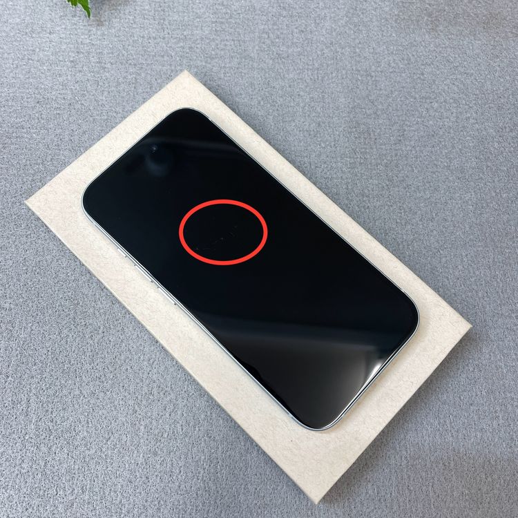 �Хåƥ꡼ 100% iPhone 15 128GB �֥롼������ SIM�ե꡼����̵��