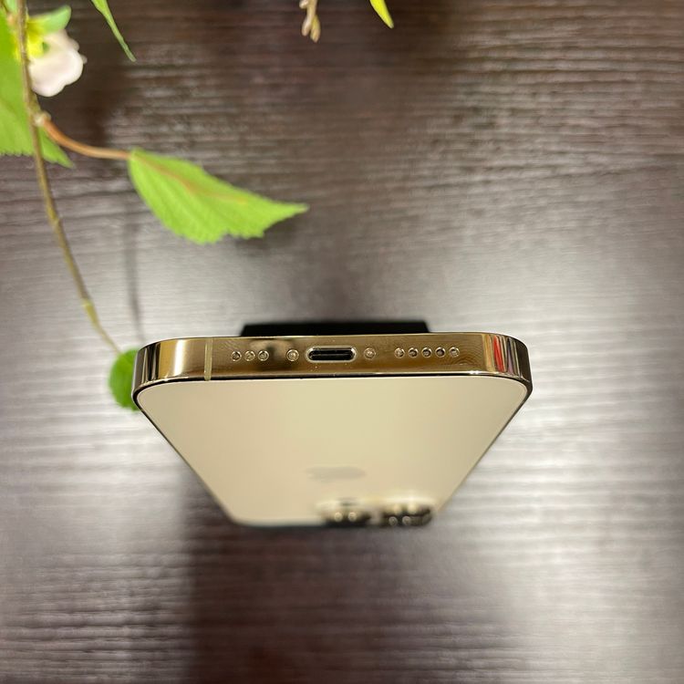 iPhone14 Pro 256GB  SIMե꡼ ̵