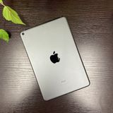 iPad mini 5 ڡ쥤 64Gb Wi-Fiǥ ̵