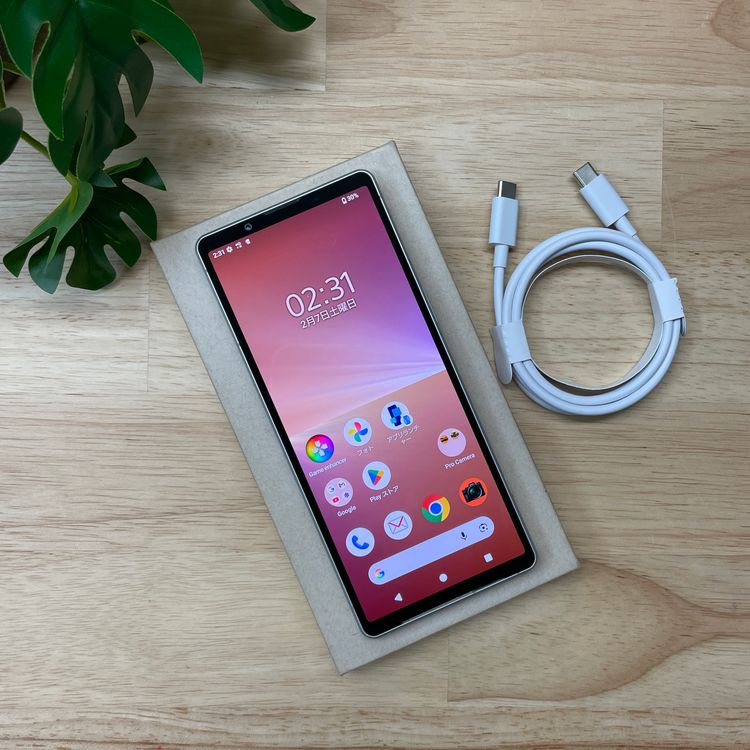 Xperia 5 V SO-53D 128GB�ץ���ʥ���С��ɥ����� SIM�ե꡼ ����̵��