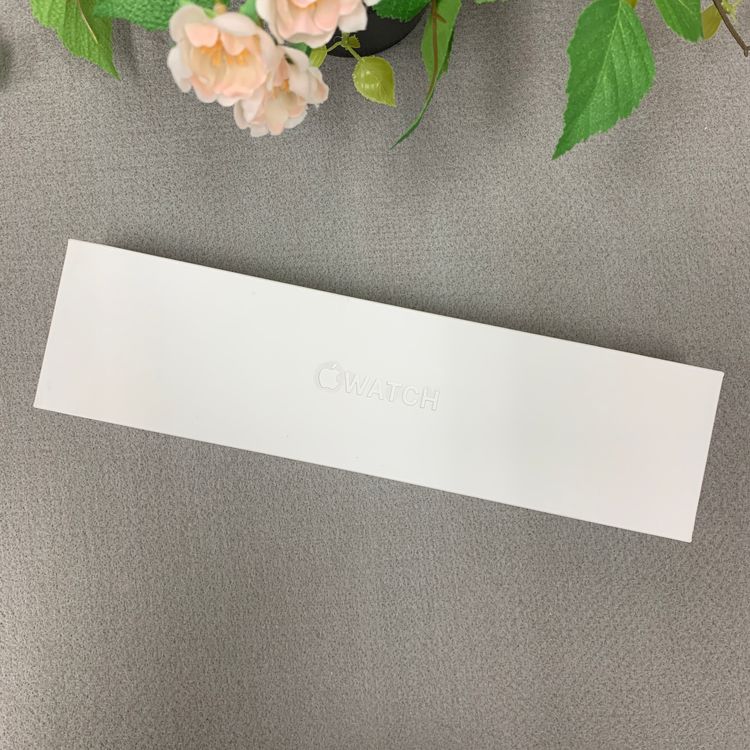 ʡ̤ Apple Watch Series 8 45mm ̵ 06499