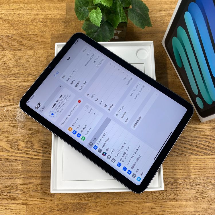 iPad Mini 6 256GB ���ڡ������졼WiFi�� ����̵��