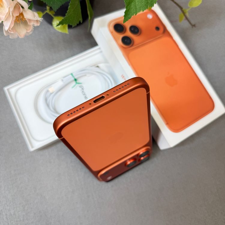 �Хåƥ꡼ 100% iPhone 17ProMax 256GB ����� ������ SIM�ե꡼