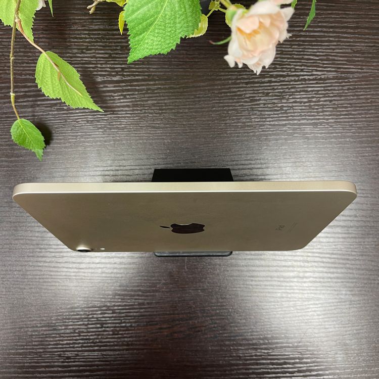 Ʊ iPad mini 6 256GB Wi-Fiǥ ̵