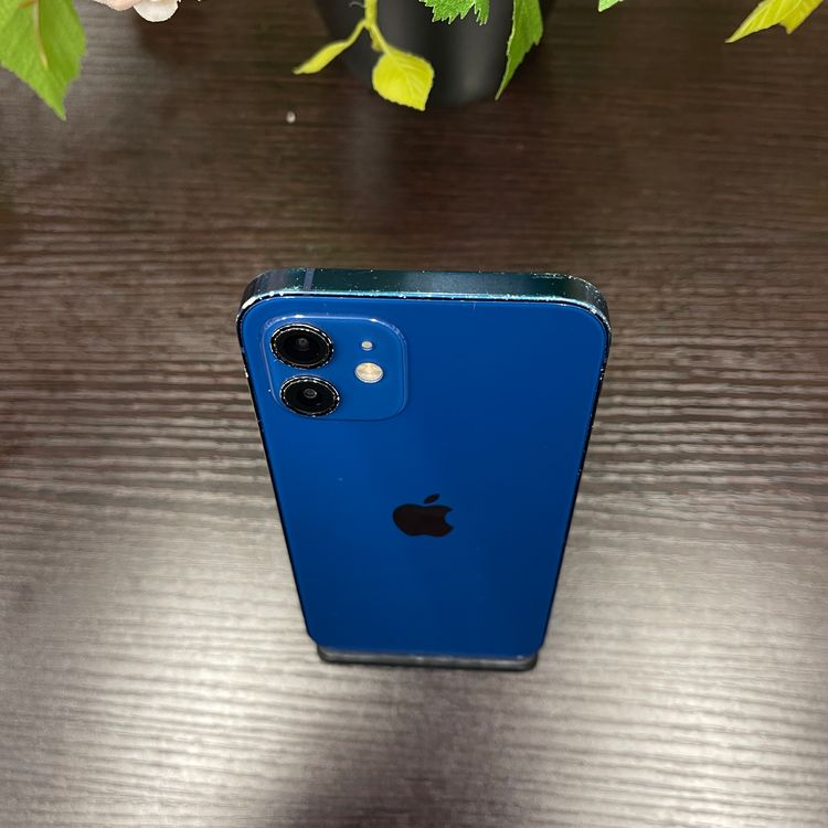iPhone 12 ֥롼 64Gb SIMե꡼ ̵