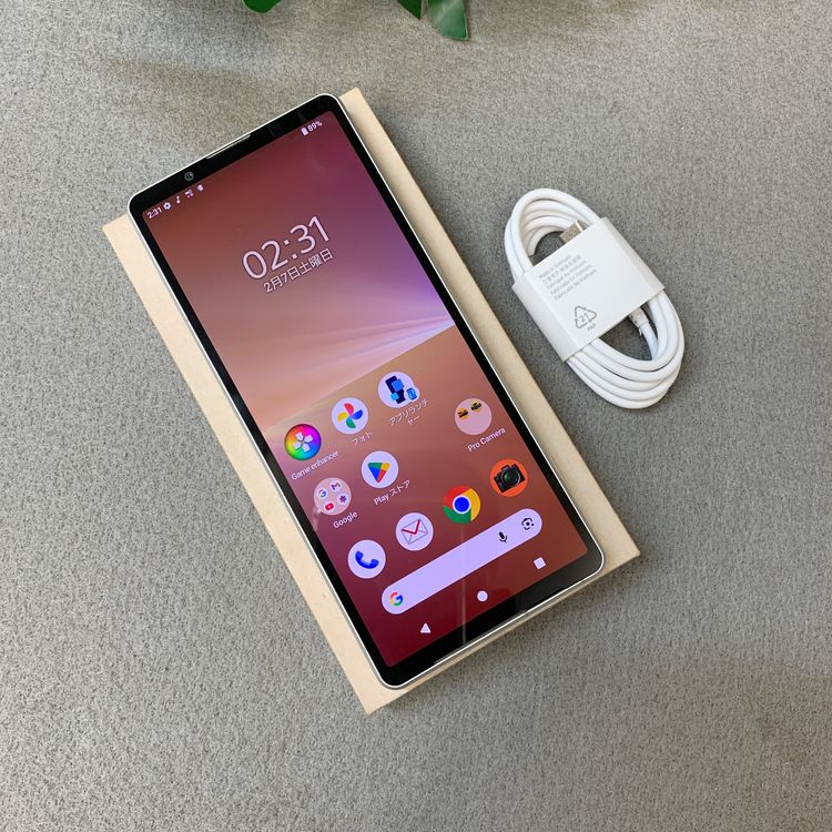 Xperia 5 V SO-53D 128GB �ץ���ʥ���С� �ɥ����� SIM�ե꡼ ����̵��