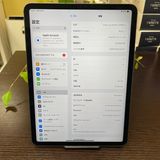 iPad Pro 11 64GB ڡ쥤 Wi-Fi + Cellularǥ