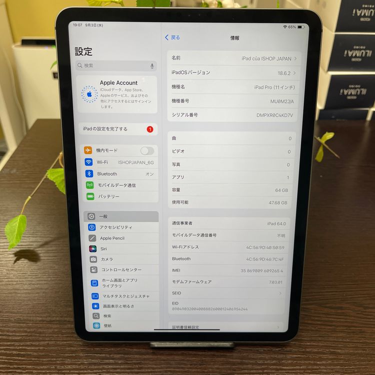 iPad Pro 11 64GB ڡ쥤 Wi-Fi + Cellularǥ